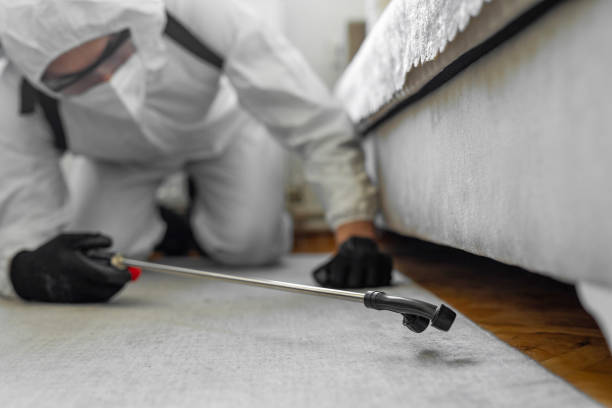 Professional Bed Bug Control technician working in Renton, WA
