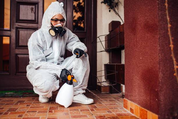 Reliable Bed Bug Control contractor in Renton, WA by Nex Pest Control