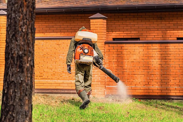 Trusted Bed Bug Control service in Renton, WA - Nex Pest Control